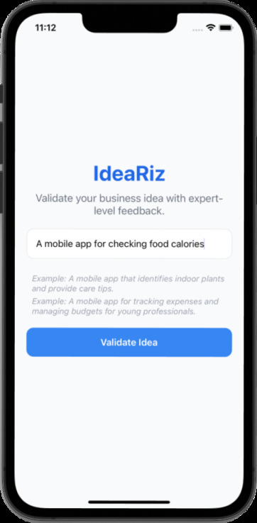 IdeaRiz App Screenshot 1